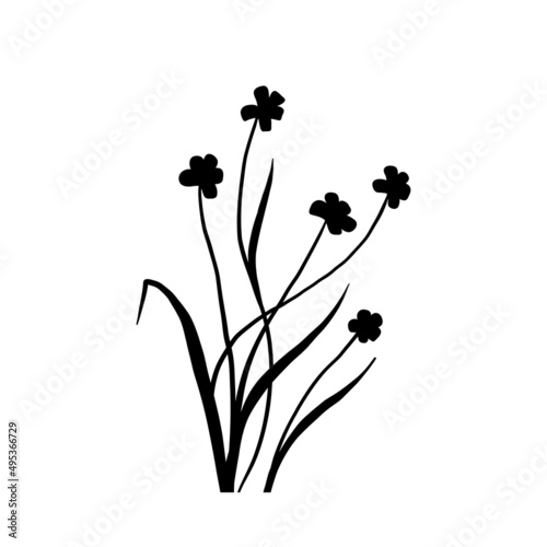Silhouette wildflowers grass. Vector black hand drawn illustration with spring flowers. Shadow of herb and plant. Nature field isolated on white background