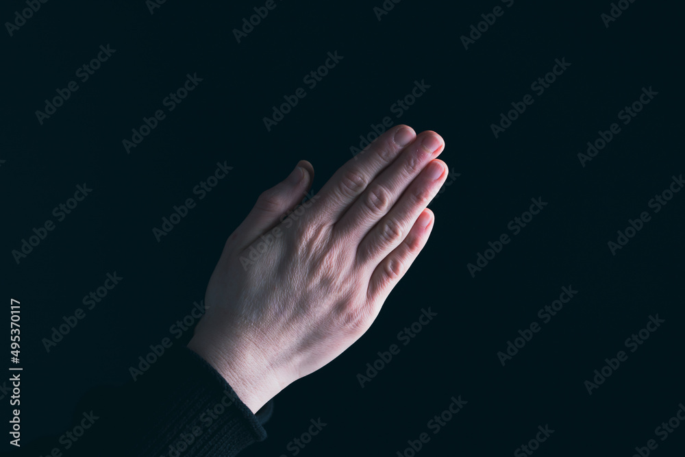 Fototapeta premium Woman hands in praying position low key image