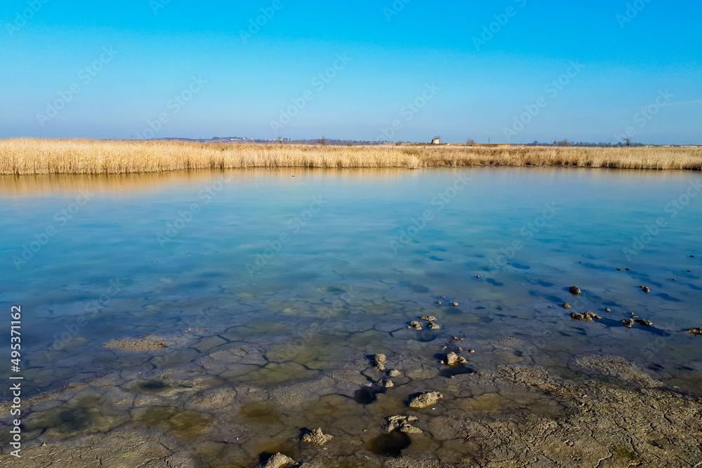 The coast of the estuary, overgrown with reeds on a winter day. Clear ice water and clear blue sky