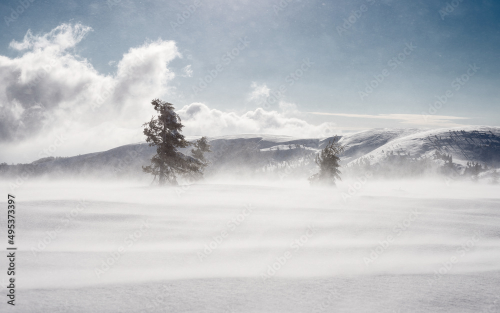 Winter mountain landscape. Snowstorm. Strong wind raises snow over the mountain slope.