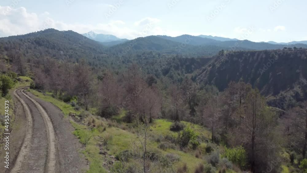 Forests and roads in spring in Cyprus Forests and roads in spring in Cyprus