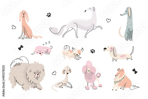 Doodle cute puppy. Active dog painting, dogs different poses. Hand drawn animals, flat design baby pets. Funny puppies play, nowaday vector characters