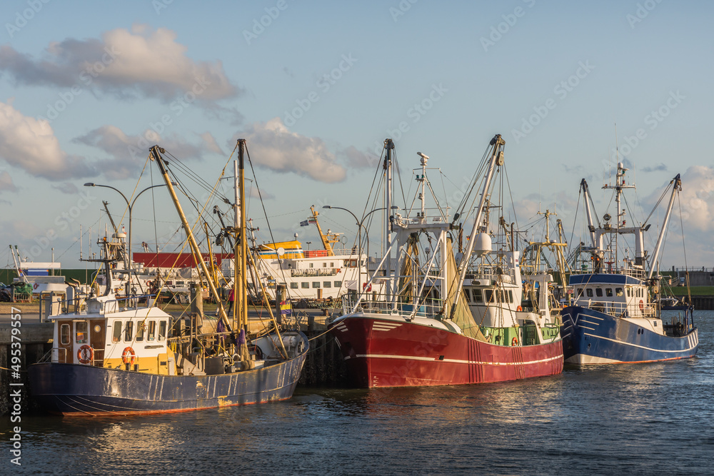 Fischerboote im Hafen in Büsum, Schleswig-Holstein, Deutschland