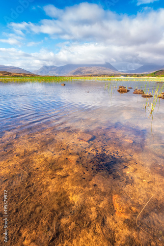 Tadpoles swimming at Loch dam on sunny day photo