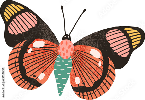 Butterfly Colored Hand Drawn Illustration photo
