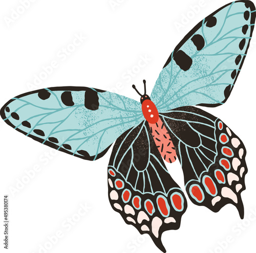 Moth or Butterfly Colored Illustration