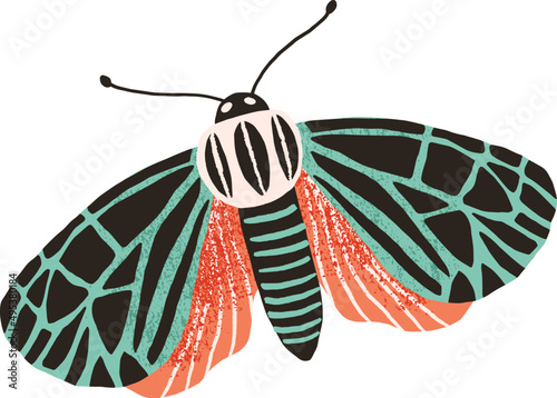 Gorgeous Butterfly Colored Illustration