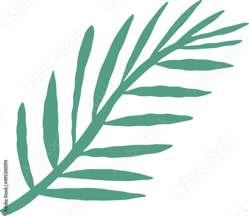 Plant Branch Colored Illustration 