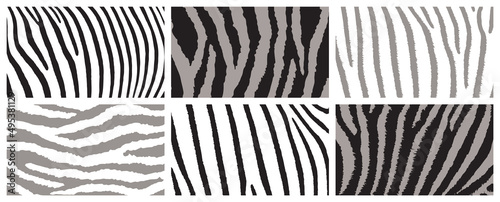 Zebra background set. Abstr...