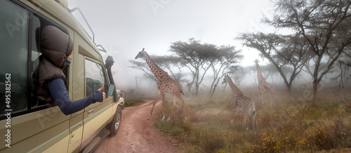 Happy woman traveller on a safari in Africa, travels by car in Kenya and Tanzania, watches life wild giraffes in early morning in savannah.