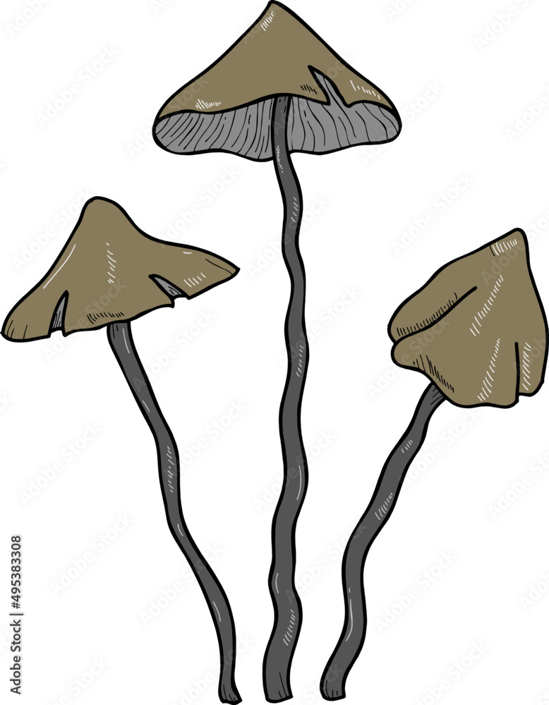 Mushroom Hand Drawn Line Vintage Illustration