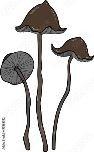 Vintage Mushroom Hand Drawn Line Art Illustration