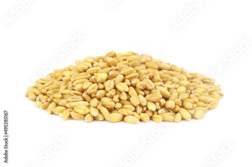 Heap of wheat grains isolated on white background