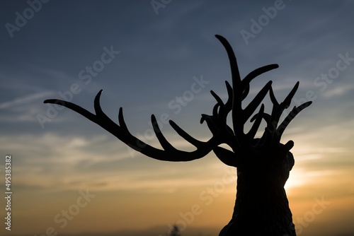Silhouette of deer antlers. Sunrise in the mountains. Beautifully colored sky. Central Europe, Czech Republic, Lysá Hora. © Mario