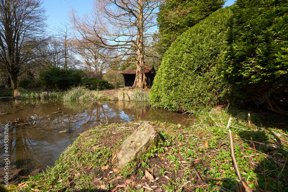 Peaceful Japanese style water garden scene Peaceful Japanese style water garden scene
