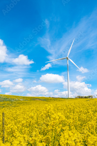 View of a wind farm, with tall wind turbines for electricity generation with copy space. Green energy concept. © ikuday