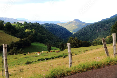 Obraz na płótnie Paysages volcaniques d'Auvergne w salonie