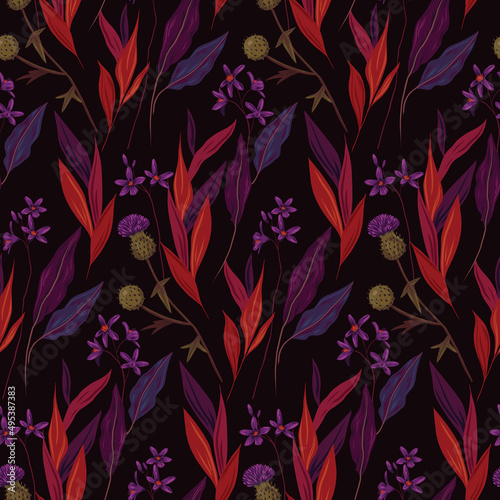 Seamless pattern with painted wild flowers. Floral print, botanical background with thistle flowers, leaves and herbs in purple. Painted plants on a dark field. Vector illustration.