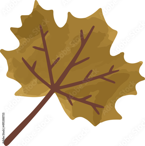Fall Leaf Hand Drawn Illustration
