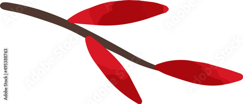Oak Leaf Hand Drawn Illustration