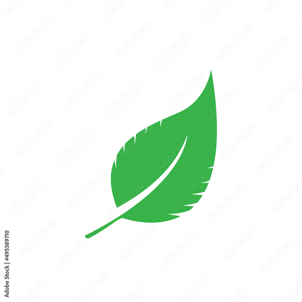 Fresh green isolated plant seen and leaf vector design Fresh green isolated plant seen and leaf vector design