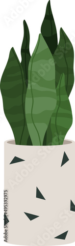 Trendy House Plant in Pot Colored Illustartion