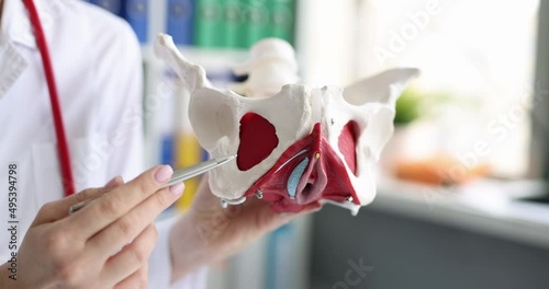 Doctor showing the ischial tuberosity or ischial bones of pelvic girdle photo