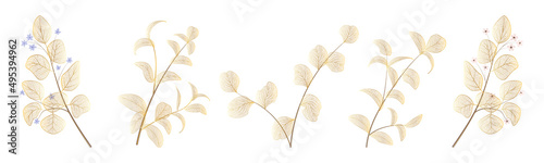 Set leaf veins of gold on white. Vector illustration. 