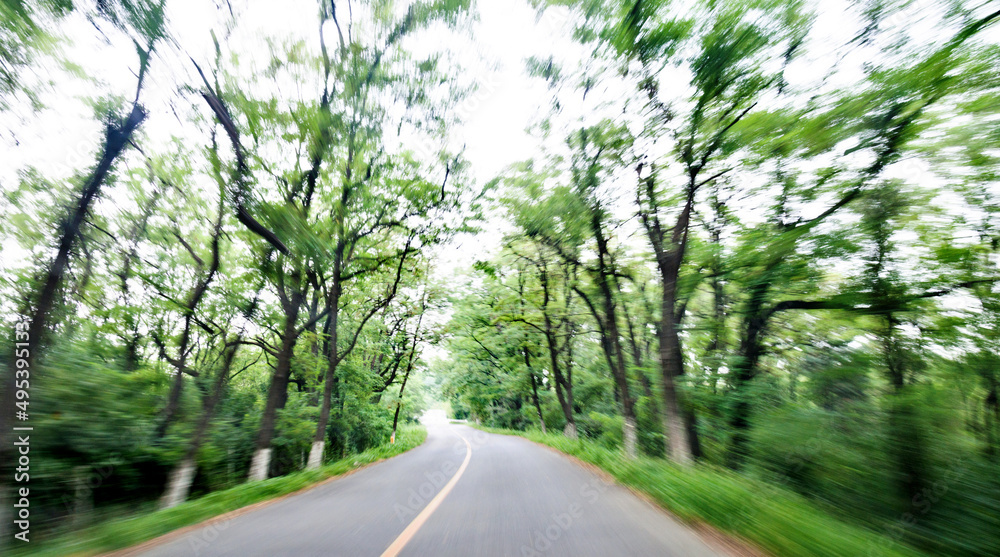 Obraz premium Forest road in motion blur