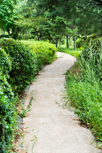 The way in the park with green tree and grass