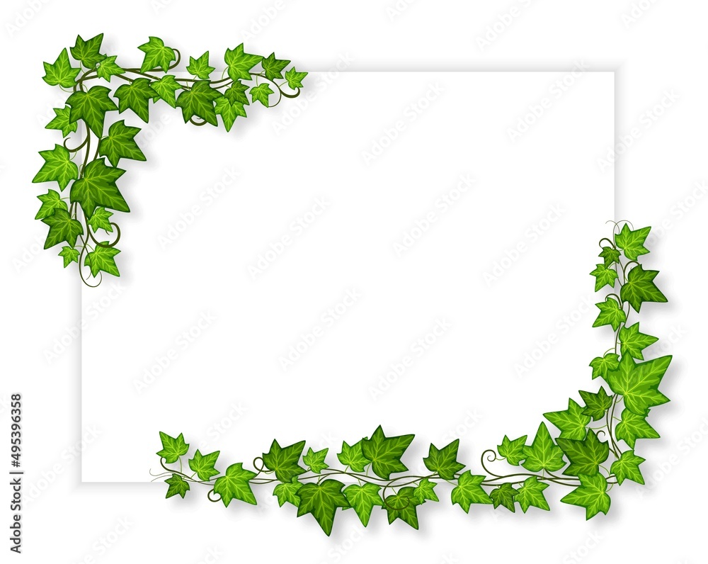 Decorative green ivy banner. Leaves creeper corners, decorative vine  design. Blank white template with growing plants, exact vector advertising  poster Stock Vector | Adobe Stock