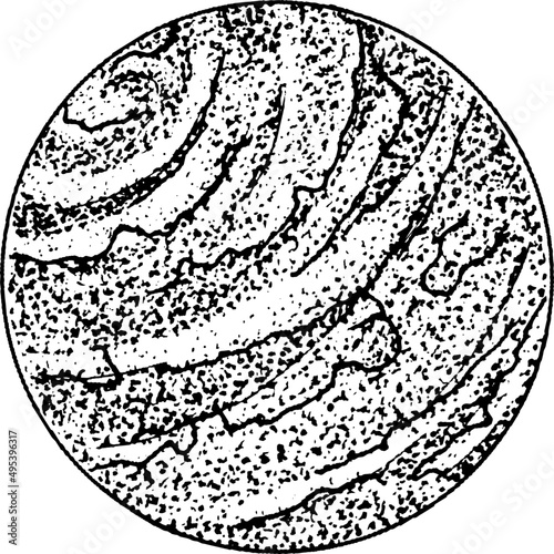 Planet Hand Drawn Monochrome Illustration