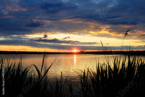 Beautiful sunset on the lake with vegetation silhouettes