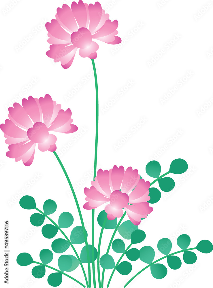 Naklejka premium 蓮華草