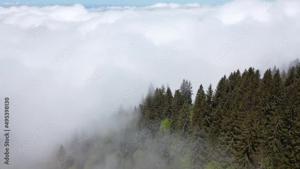 Mountain, Clouds and Sky with a Pine Forest Below Mountain, Clouds and Sky with a Pine Forest Below