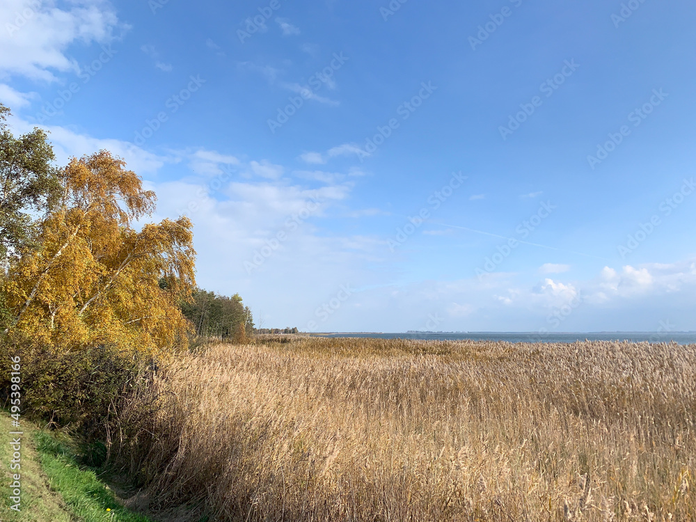 Boddenlandschaft im Herbst Wieck auf dem Darss Fischland Zingst Mecklenburg-Vorpommern