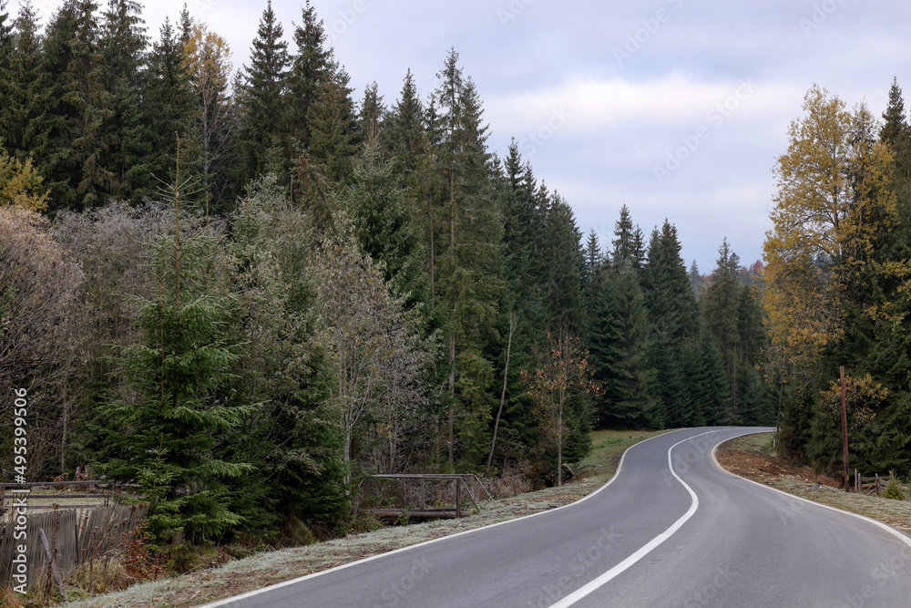 Beautiful view of asphalt highway going through coniferous forest. Autumn season