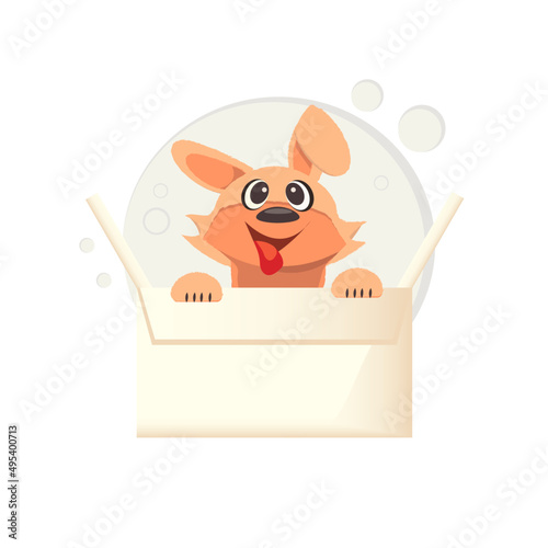 playful dog peeks out of the box