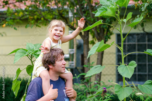 Little preschool girl sitting on shoulder of father with huge sunflower in domestic garden. Happy family, child and dad, middle-aged man cultivating flowers. Kids and ecology, environment concept.