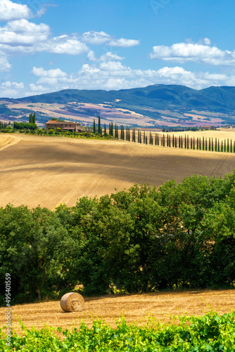 Rural landscape near Castiglione,Siena, Tuscany