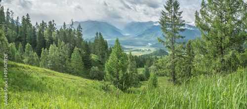Fototapeta Naklejka Na Ścianę i Meble -  Mountain landscape, summer greenery, forest and mountains in clouds