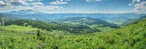Panoramic view of the mountain valley, summer greenery, sunny day