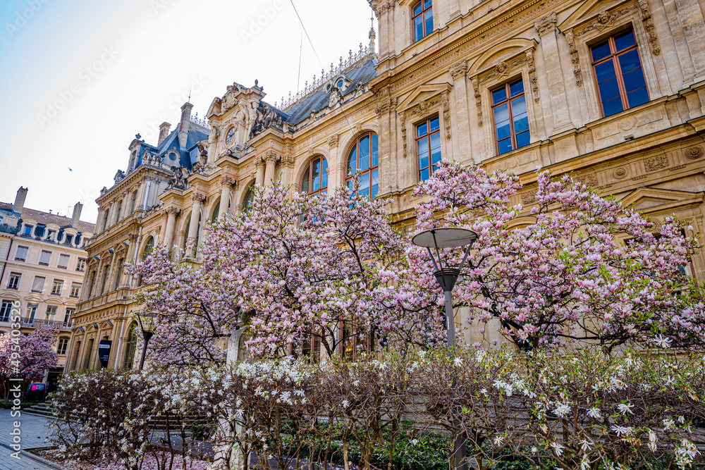 Le Palais de la Bourse de Lyon et ses Magnolias