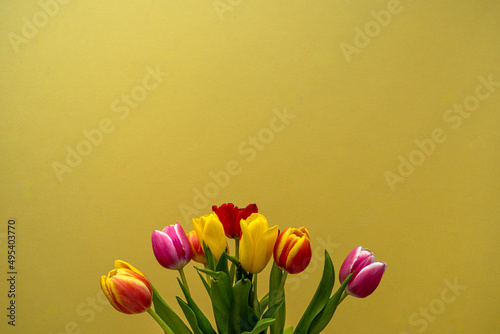 Multicolored tulips on yellow background with copy space for text. Bouquet of spring flowers. Isolated on yellow background.  Mother's Day, Valentines, Anniversary, Easter, Birthday.