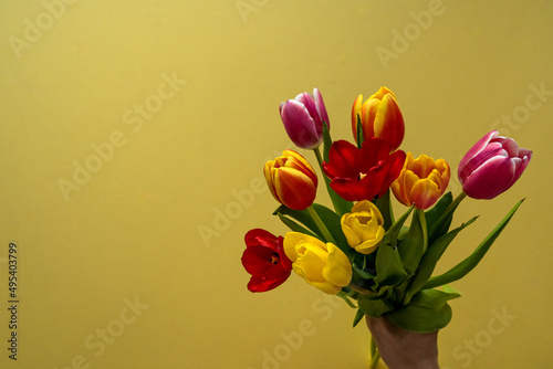 Multicolored tulips on yellow background with copy space for text. Bouquet of spring flowers. Isolated on yellow background.  Mother's Day, Valentines, Anniversary, Easter, Birthday.
