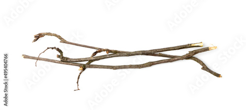 Branches Pile Isolated