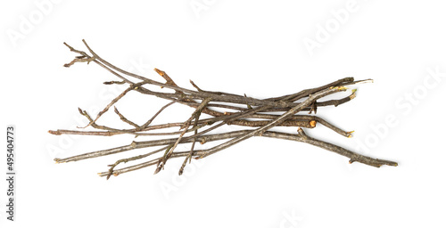 Branches Pile Isolated