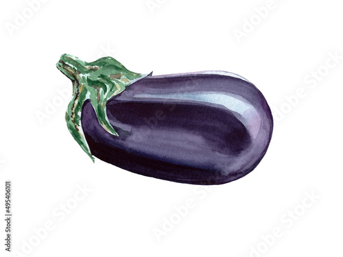 Watercolor eggplant. Rastr vegetable illustration for a cookbook, ingredients of recipes, advertising, cards for children and botanical magazines. Natural and organic agriculture.