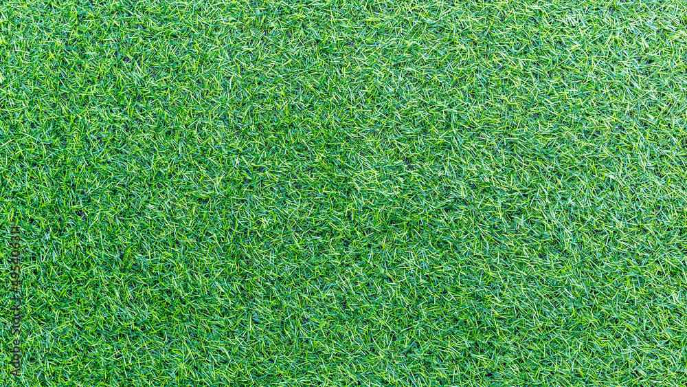 Fototapeta premium Green grass texture background and grass garden mockup concept