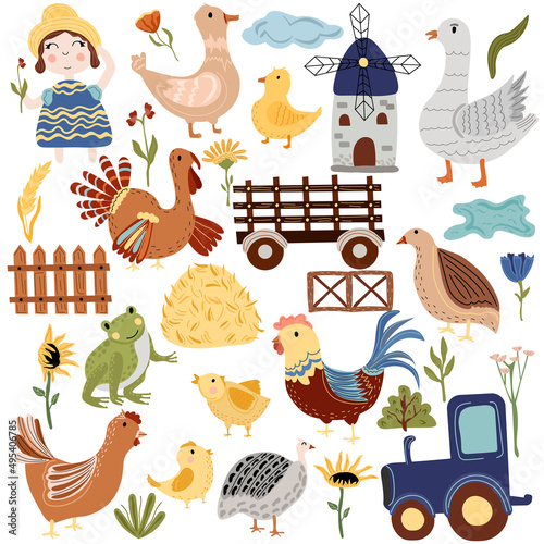 Farm of poultry, goose, quail, chicken, rooster, turkey, duck, farm truck, windmill. Rural farm poultry, on a white background. Boho farm. Vector illustration.